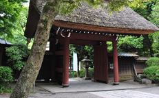 京都の神社は楽しい